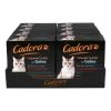 Cadora Katzennahrung Multipack Gelee 8 X 85 G, 8er Pack -Heidsieck&Co shop 2185397000 prod 001